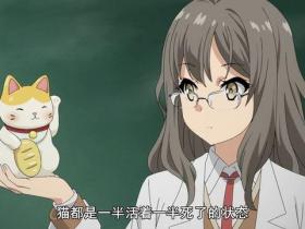 What exactly does this classic anime barrage mean?