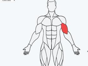 Where not, a very simple muscle exercise guide